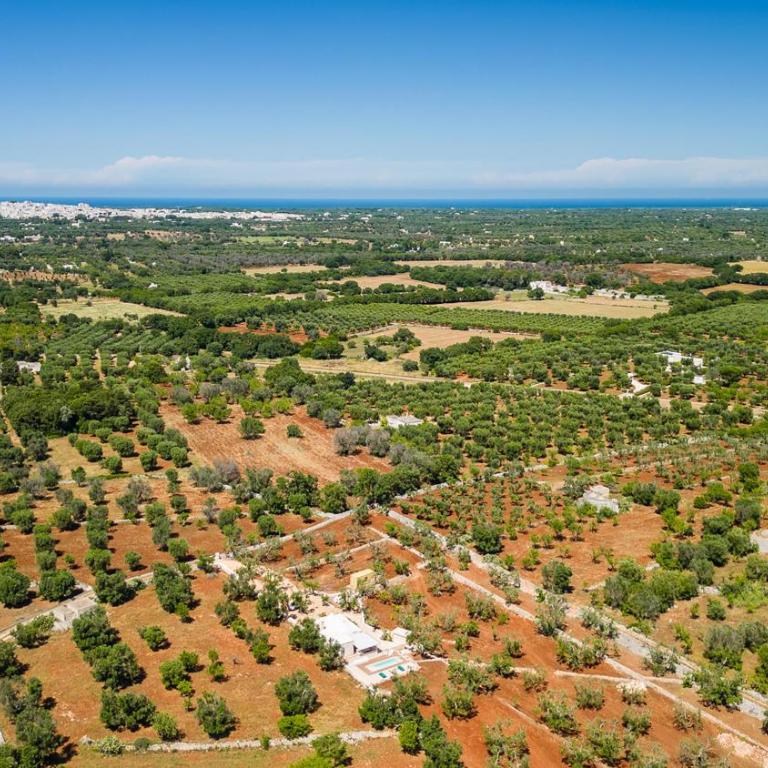 Trullo Cecapesce by Perle di Puglia - Villa con Piscina Privata - 36
