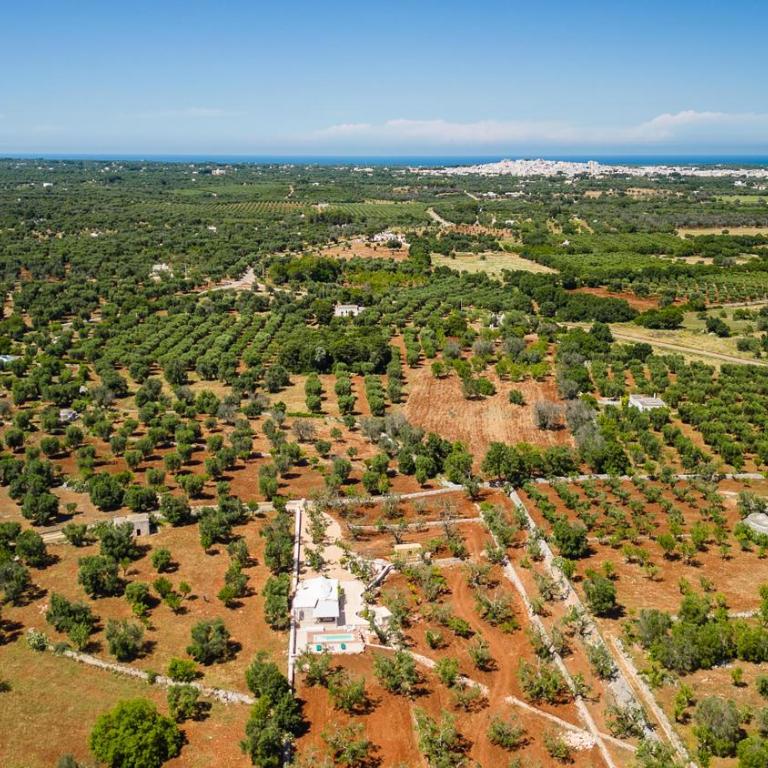 Trullo Cecapesce by Perle di Puglia - Villa con Piscina Privata - 39