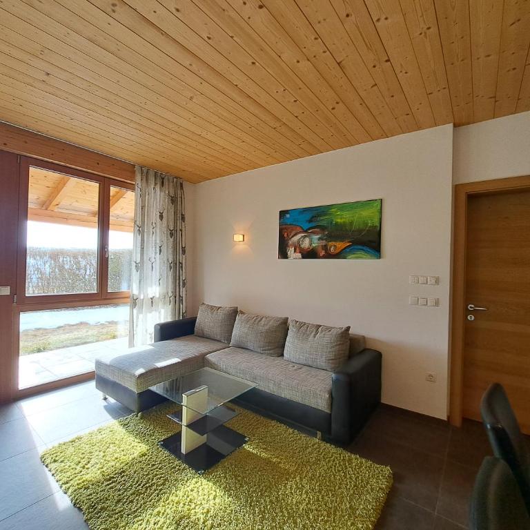 Apartment Sonnschein Brunnerhof - Apartamento de 1 dormitorio - 4