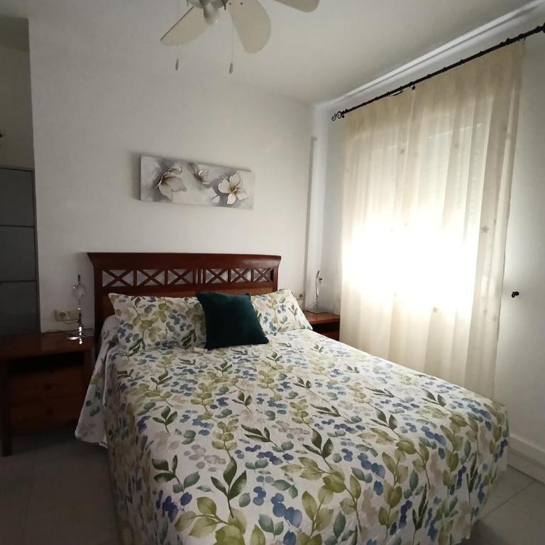 Apartamento Oasis - Apartamento - 4