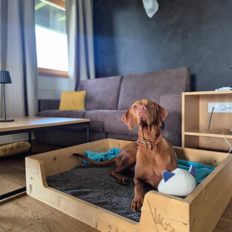Gapphof - Apartment mit 1 Schlafzimmer - 15