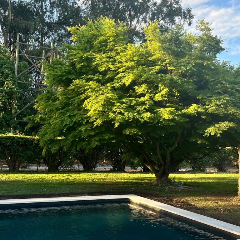 Cómoda casa con quincho y piscina a 30 mins de Stgo - Three-Bedroom House - 15