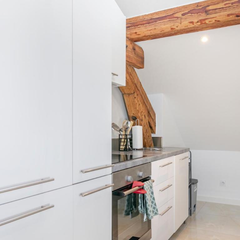 proche lac et centre parking gratuit - Two-Bedroom Apartment - 11