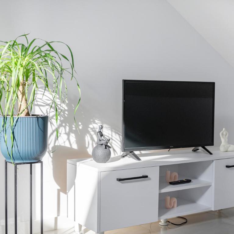 proche lac et centre parking gratuit - Two-Bedroom Apartment - 4