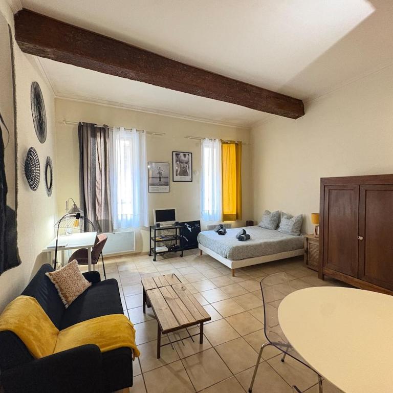 Le Petit Briand Arles centre - Appartamento con 1 Camera da Letto - 1