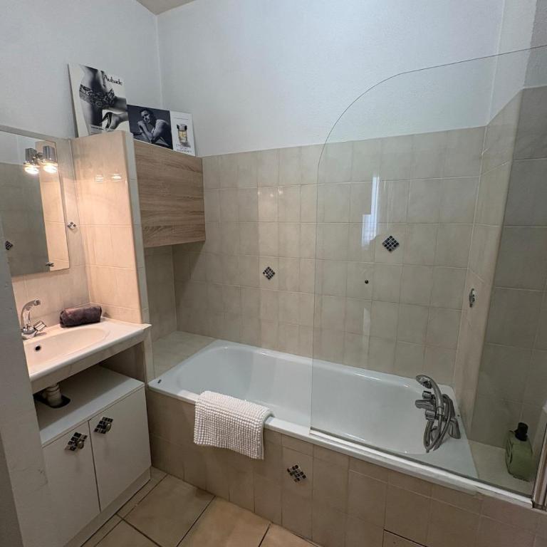 Le Petit Briand Arles centre - Appartamento con 1 Camera da Letto - 4
