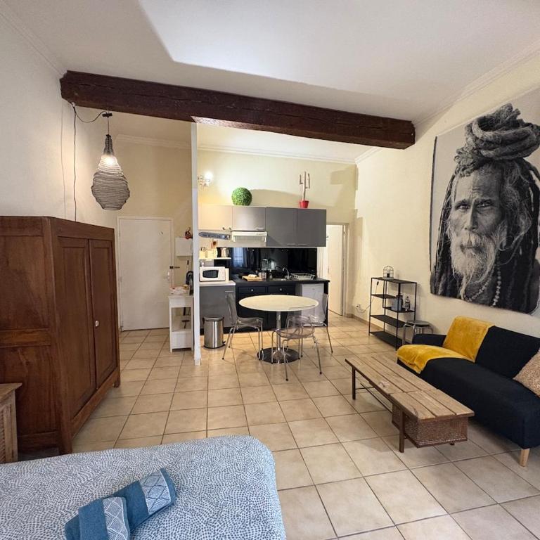Le Petit Briand Arles centre - Appartamento con 1 Camera da Letto - 6