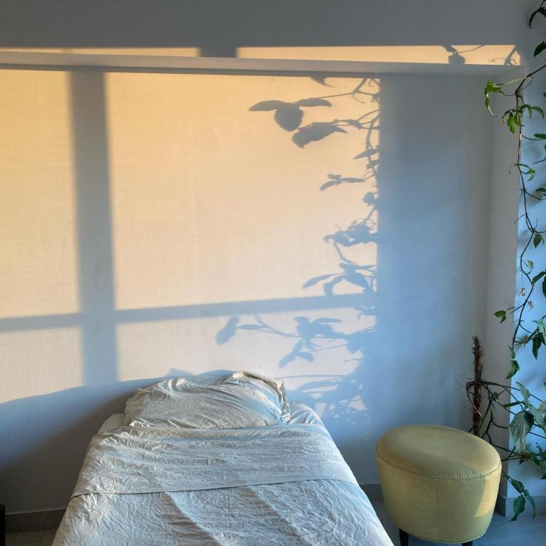 Liber - Apartamento de 1 dormitorio - 5