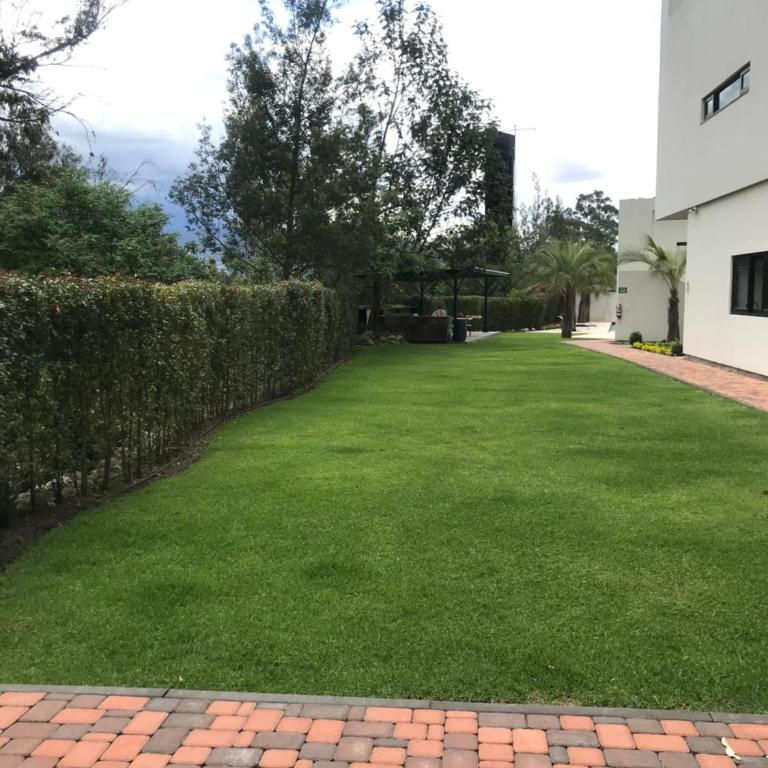 Flor de Lis Suites - One-Bedroom Apartment - 16