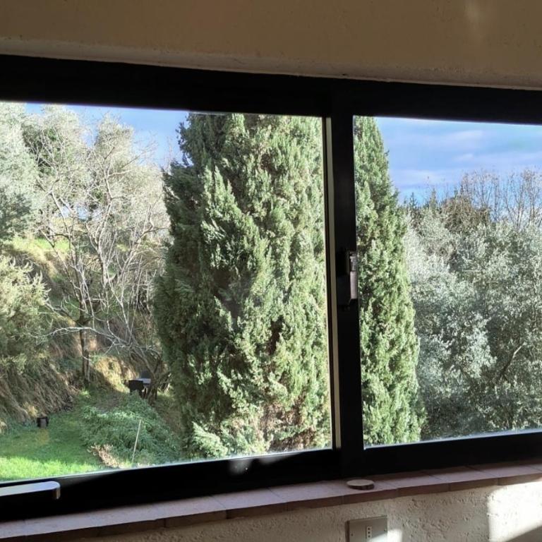 Ellera suite Country Barn in Lucca olive Grove - Suite con Vista Giardino - 1
