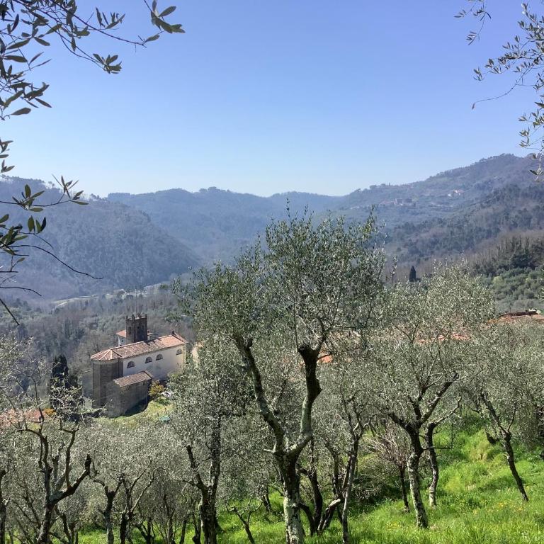Ellera suite Country Barn in Lucca olive Grove - Suite with Garden View - 12