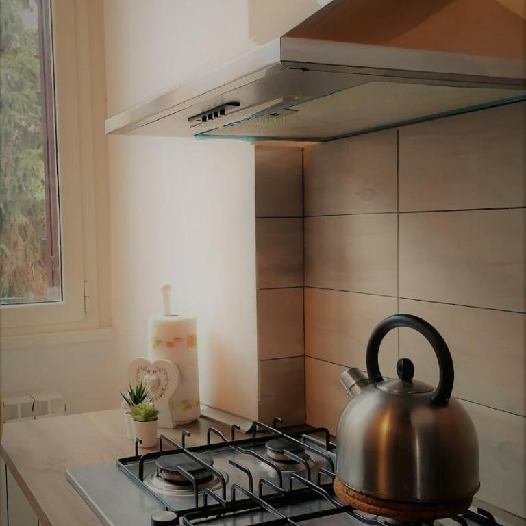 two units family vacation rental - Appartamento - 28