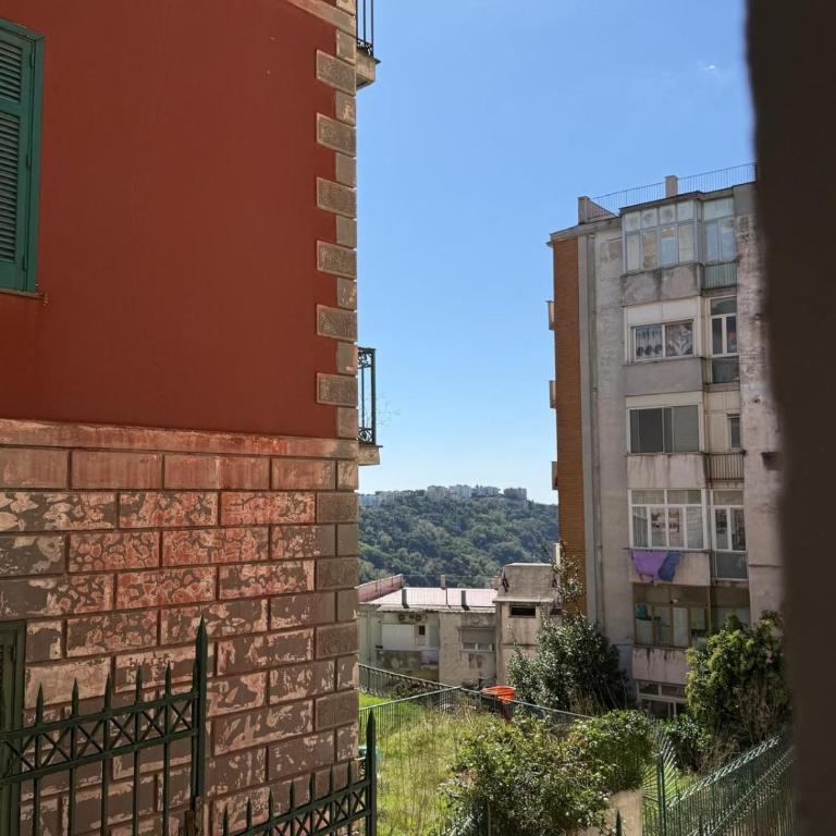 Domus Posillipo - Appartamento con 1 Camera da Letto - 32
