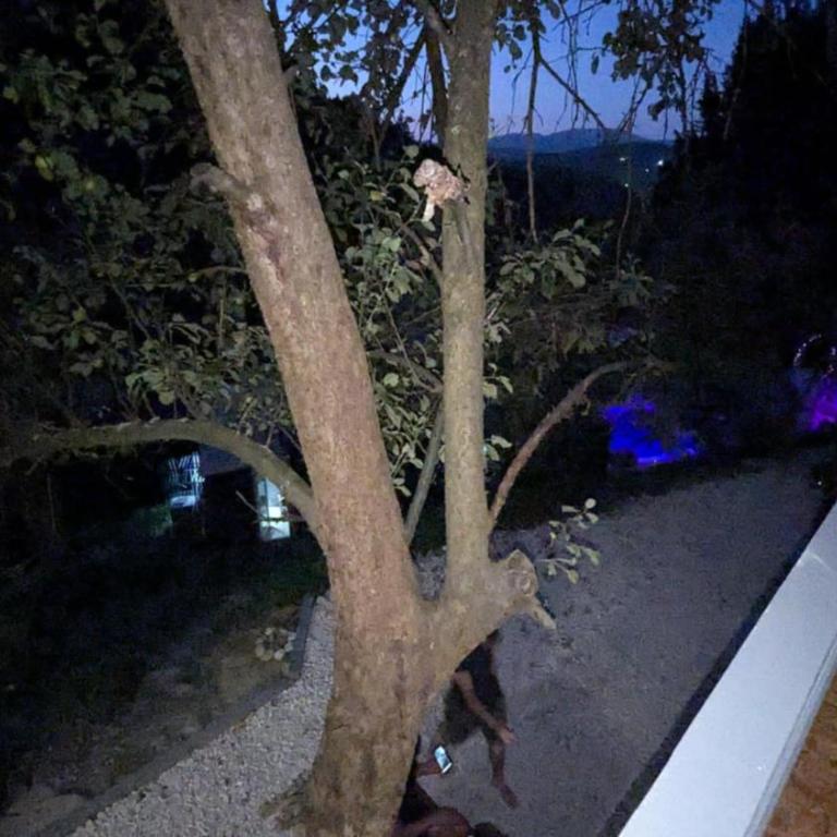Neno Pyramid Wellness Retreat - Apartman na Više Nivoa - 38
