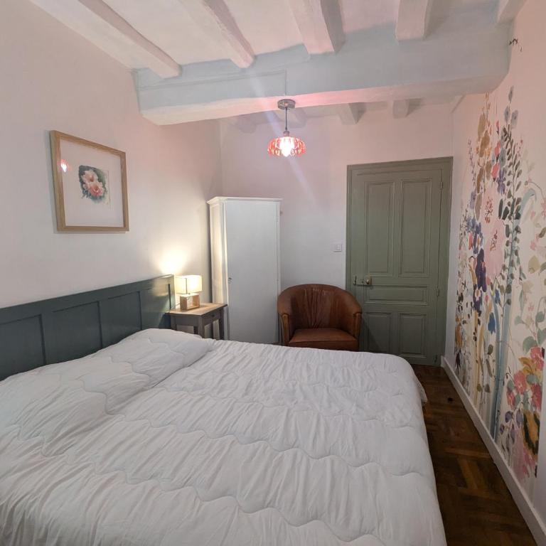 Le Tintamarre - Chambres et suite familiale à 5 min du Zoo de Beauval - Familiensuite - 7