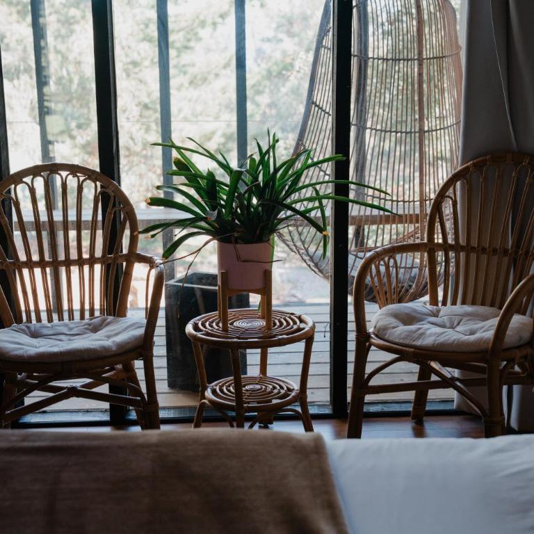 Surf Lodge Punta de Lobos - Double or Twin Room with Terrace - 4