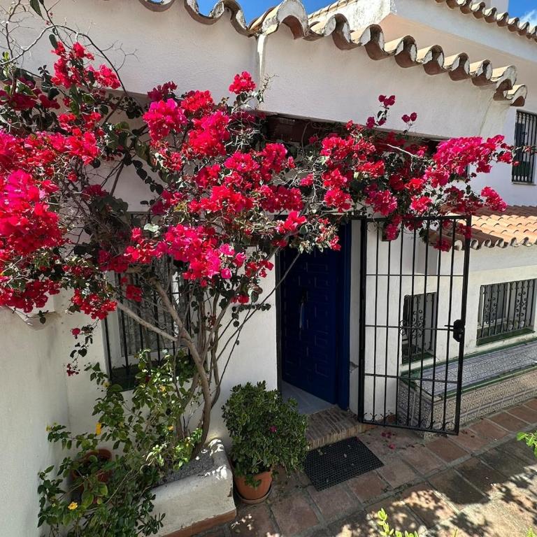 Itxas Mendi - Casa de 2 dormitorios - 33