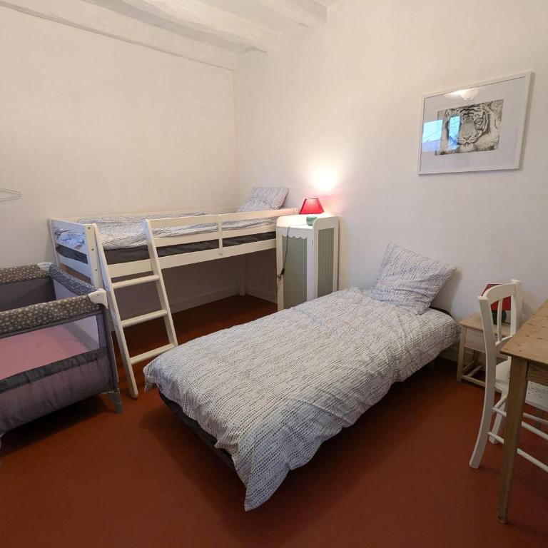 Le Tintamarre - Chambres et suite familiale à 5 min du Zoo de Beauval - Familiensuite - 16