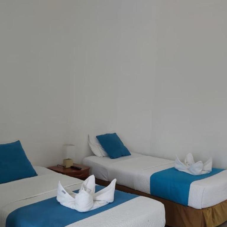 Galapagos Native - Twin Room with Balcony - 22
