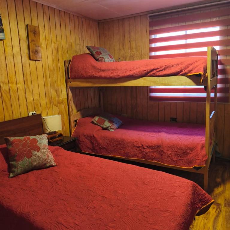 Hostal Trekking De La Patagonia - Habitación Compartida Mixta - 4