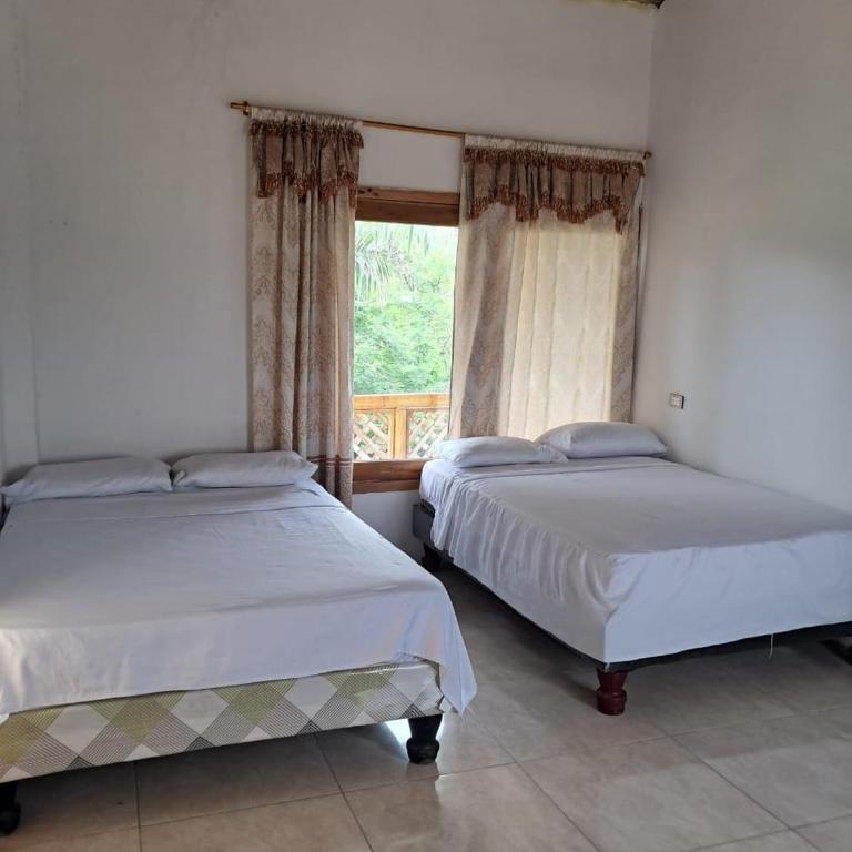 HostalManabiPuertolopezCascol - Family Room - 4