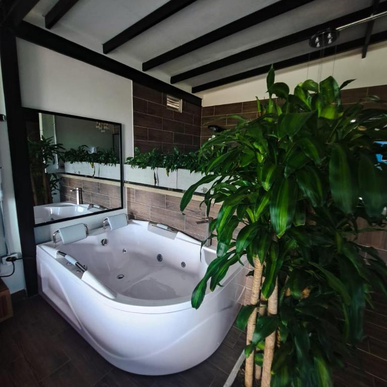 Hotel Elixer Habitat - Habitación Doble con terraza - 2
