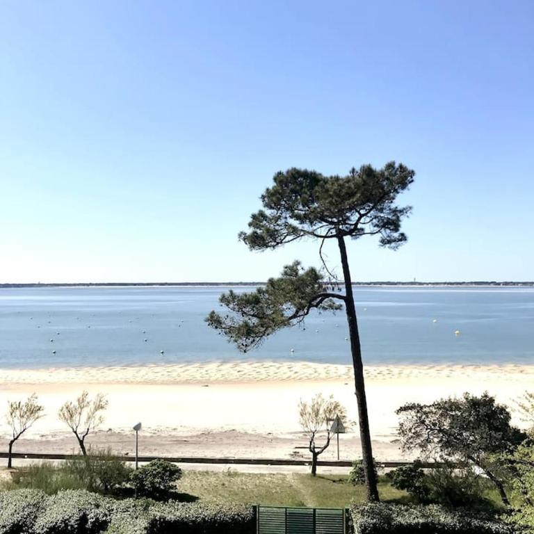 Les pieds dans l'eau, le coeur en vacances - Casa Mobile - 54