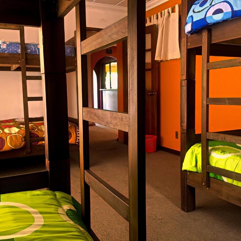 Greenhouse Bolivia - Cama en habitación compartida mixta de 6 camas - 7