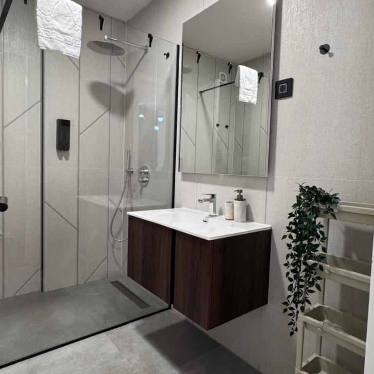 Apartman & Spa Lukas Zlatibor - One-Bedroom Deluxe Apartment - 11