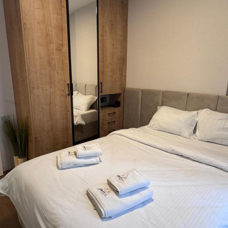 Apartman & Spa Lukas Zlatibor - One-Bedroom Apartment - 26