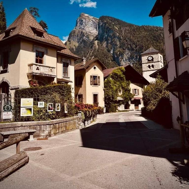 Studio in Morillon village, mountain view - Appartement 2 Chambres - 32