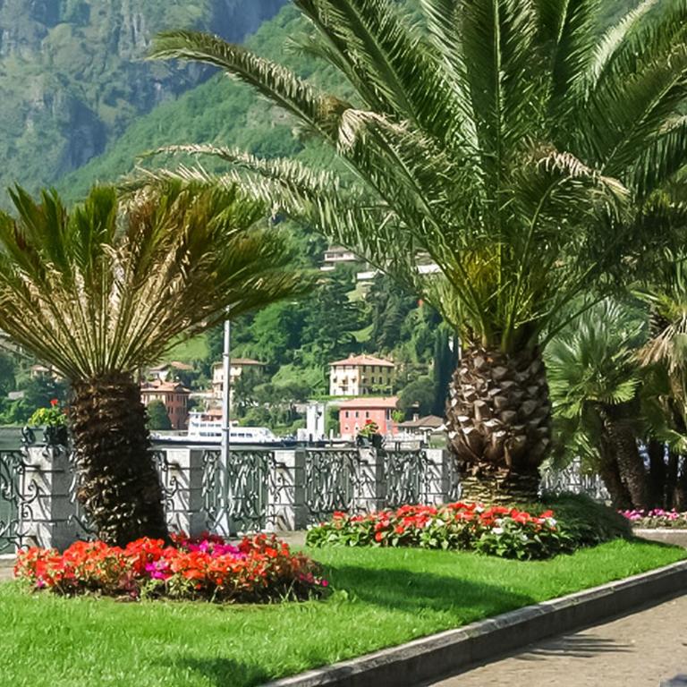 Residence degli Oleandri 2A - Appartamento con Terrazza - 32