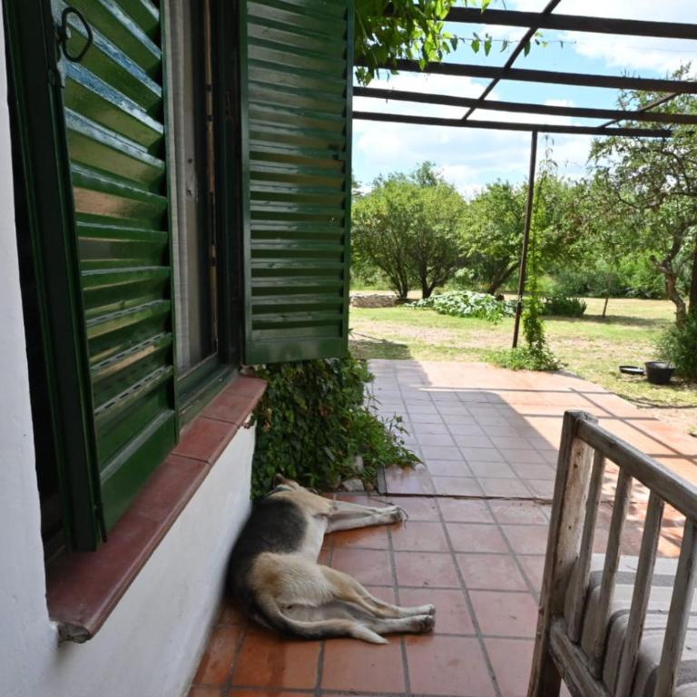 Casa Amaranta - Apartamento de 2 dormitorios - 2