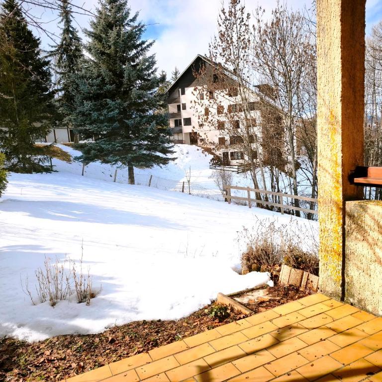 Appartement en rez-de-jardin à 300m des pistes - Appartement 1 Chambre - 1