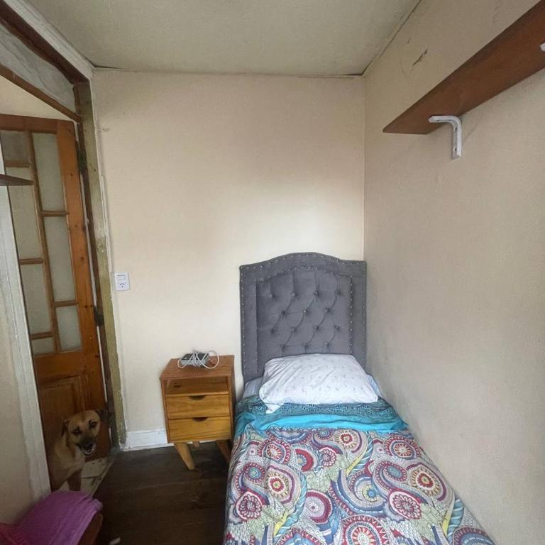 Petit Hostal In Central BA-U - Single Room with Terrace - 2