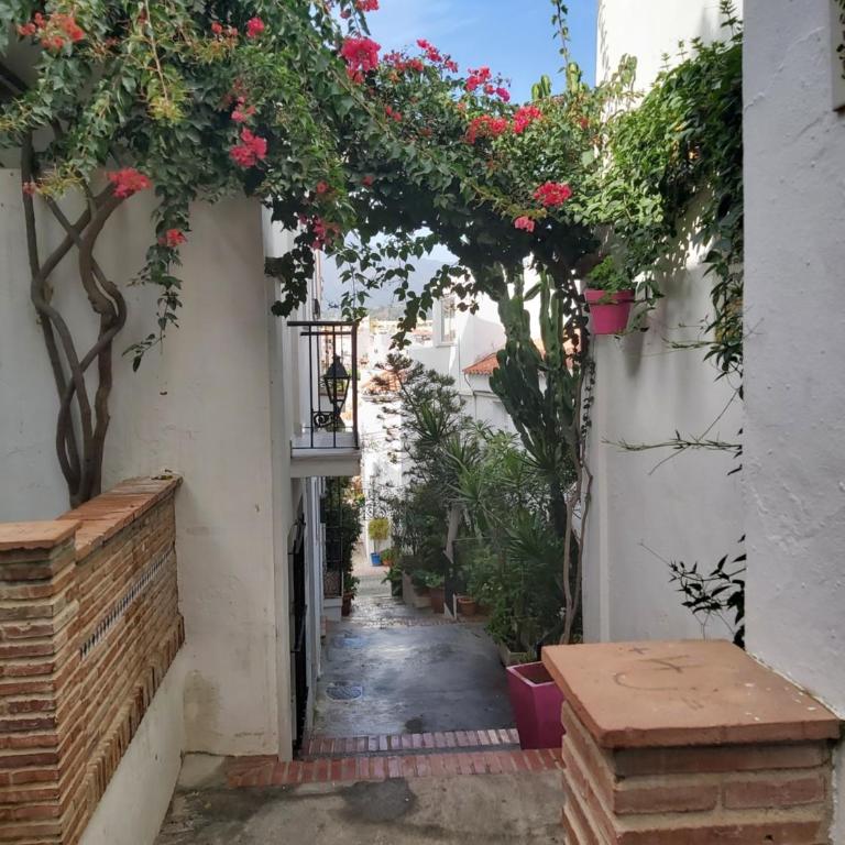 Blue Plate Old Town - Chalet de 1 dormitorio - 21