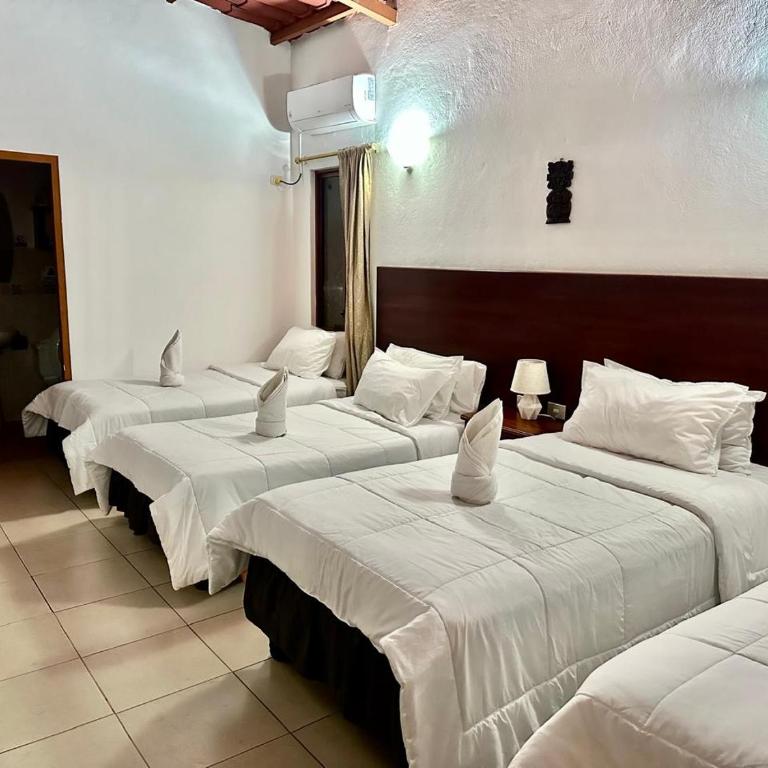 Piedras Blancas Lodge - Double Room with Garden View - 3