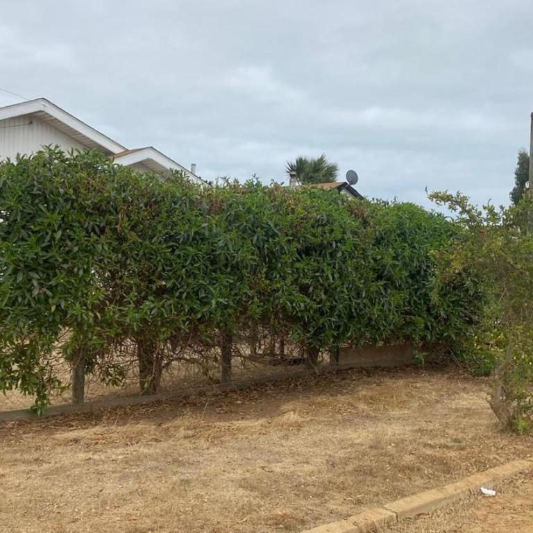 Casa en Algarrobo - Casa de 2 dormitorios - 3