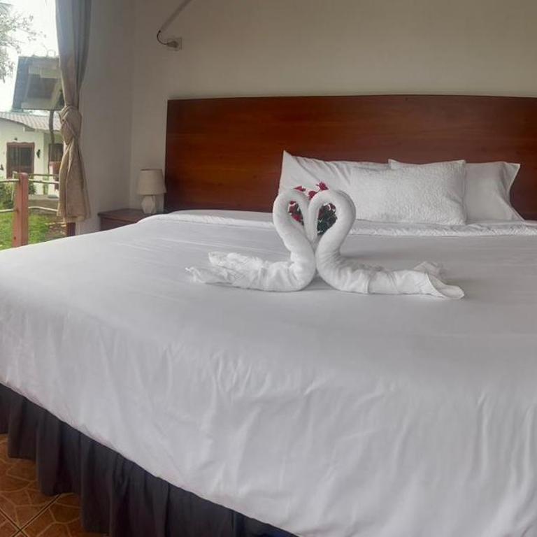 Piedras Blancas Lodge - Standard Double Room - 6