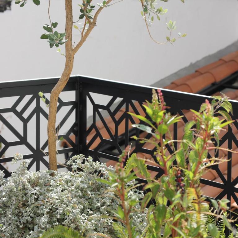Casa Mestiza - Standard Suite - 39