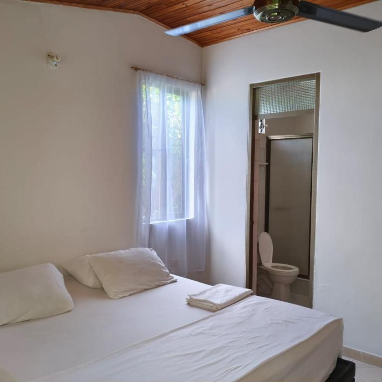 Casa espectacular en flandes - Casa - 24