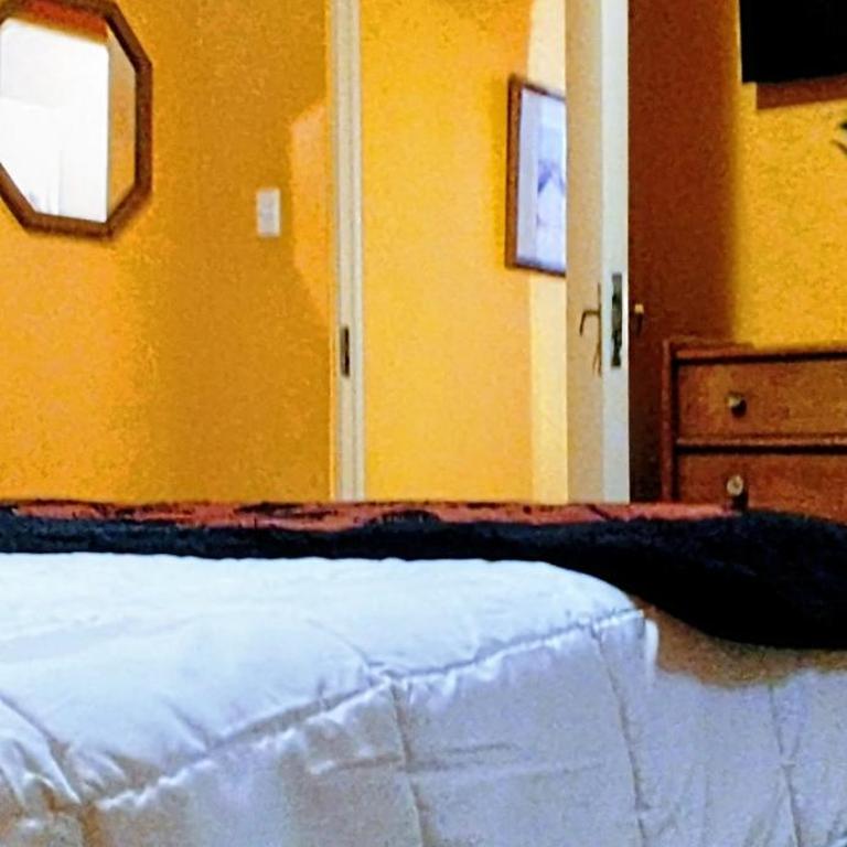 La Casa de los Cactus - Double Room with Terrace - 8