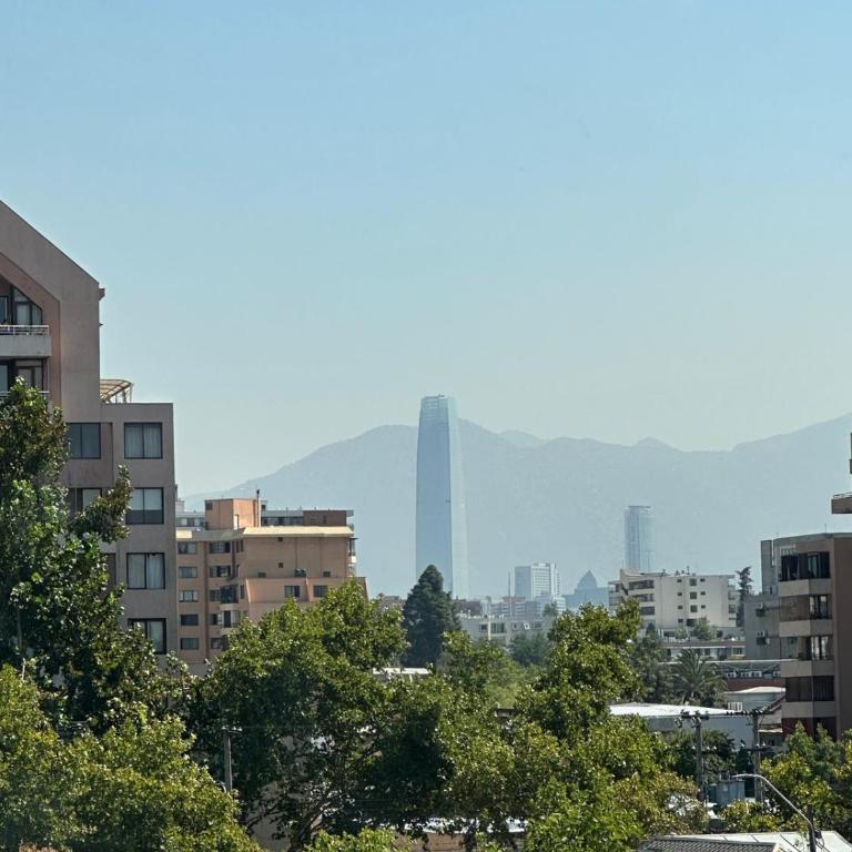 Comfortable apartment in Ñuñoa, new! - One-Bedroom Apartment - 12