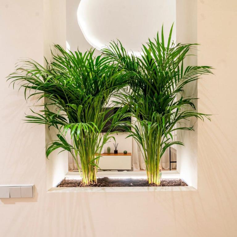 R14 –Deluxe Style Trendiest location in Malasaña - Three-Bedroom Apartment - 4