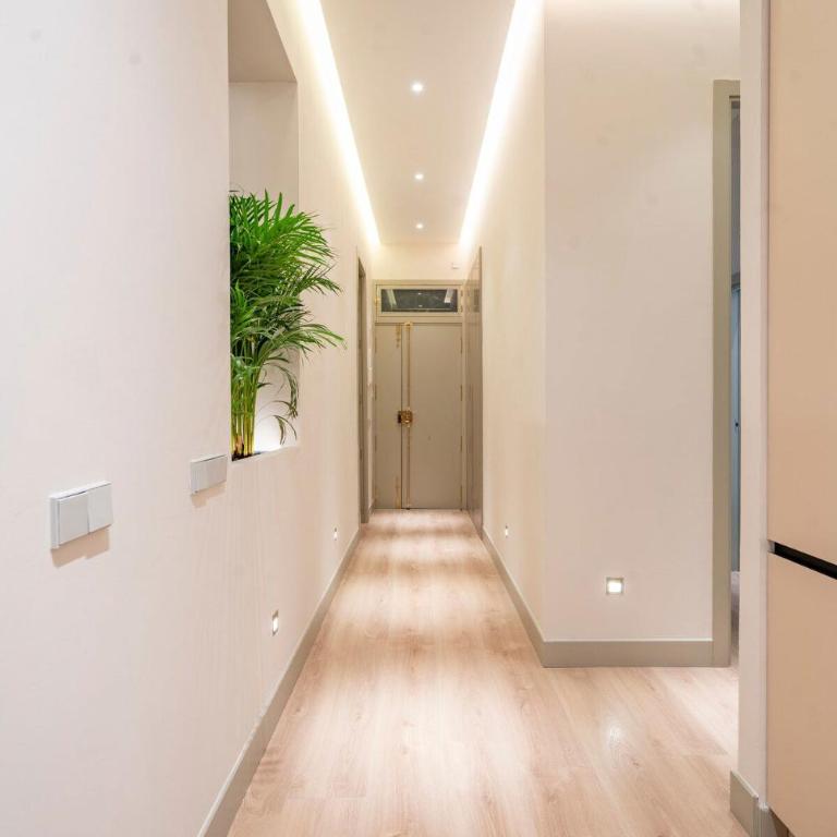 R14 –Deluxe Style Trendiest location in Malasaña - Three-Bedroom Apartment - 80
