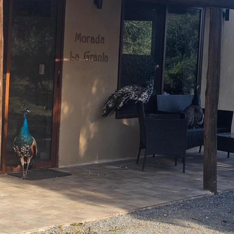 Morada La Granja - Chalet de 2 dormitorios - 3