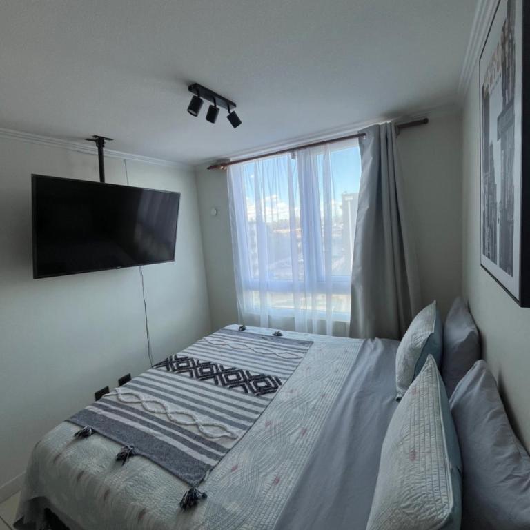 Serenity loft - Apartamento de 1 dormitorio - 2