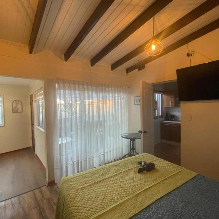 Apartamentos Brisa Torrealba, cercano a reloj de flores, Recreo - One-Bedroom Apartment with Terrace - 4