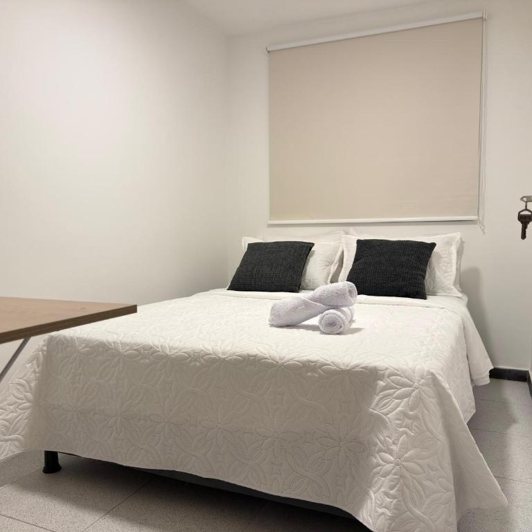 Casa Brasil - Apartamento de 2 dormitorios - 10