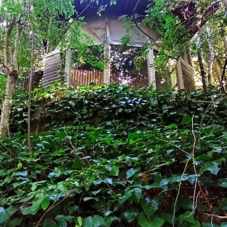 Casa Cedro - Three-Bedroom House - 10